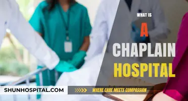 Exploring the Role of Chaplains in Modern Hospitals