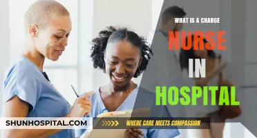 Who is a Charge Nurse and What Do They Do?