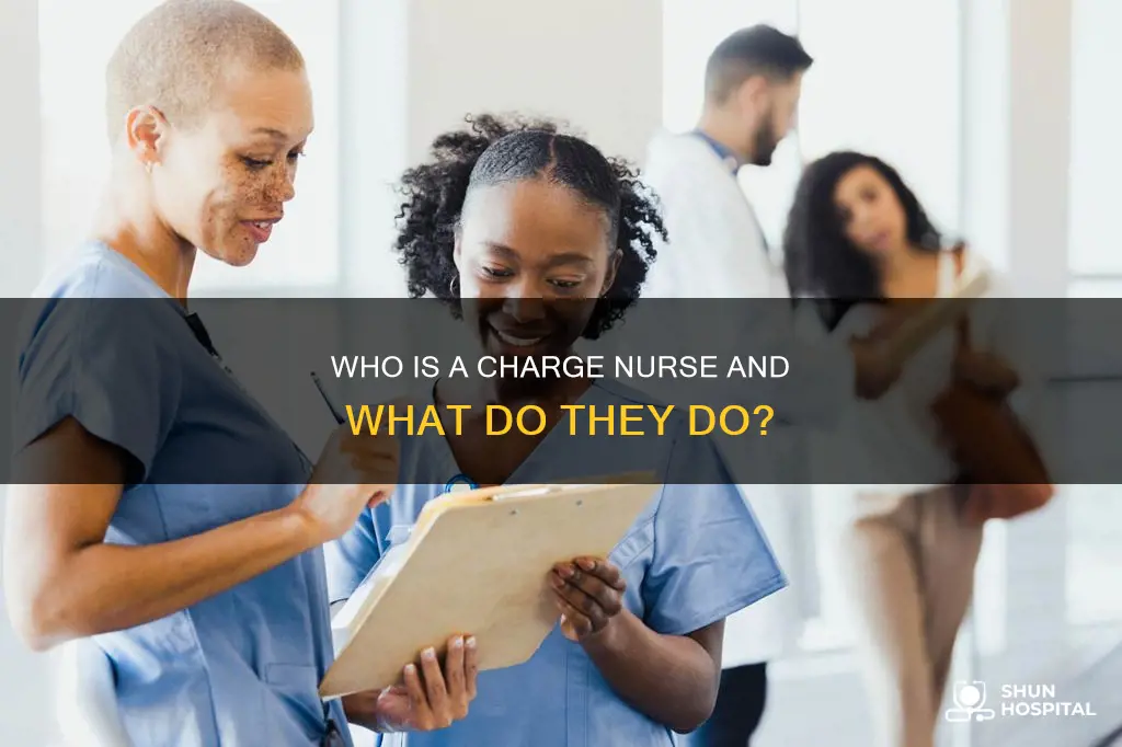 what is a charge nurse in hospital