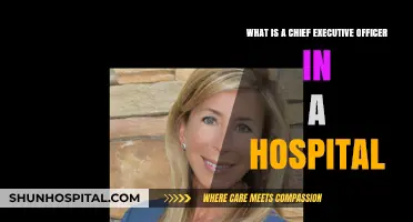 Understanding the Role of a Hospital Chief Executive Officer