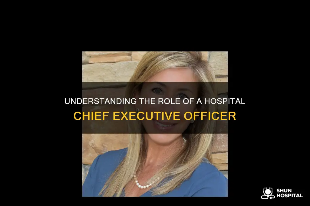 what is a chief executive officer in a hospital