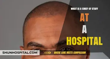 Understanding the Role of a Hospital Chief of Staff