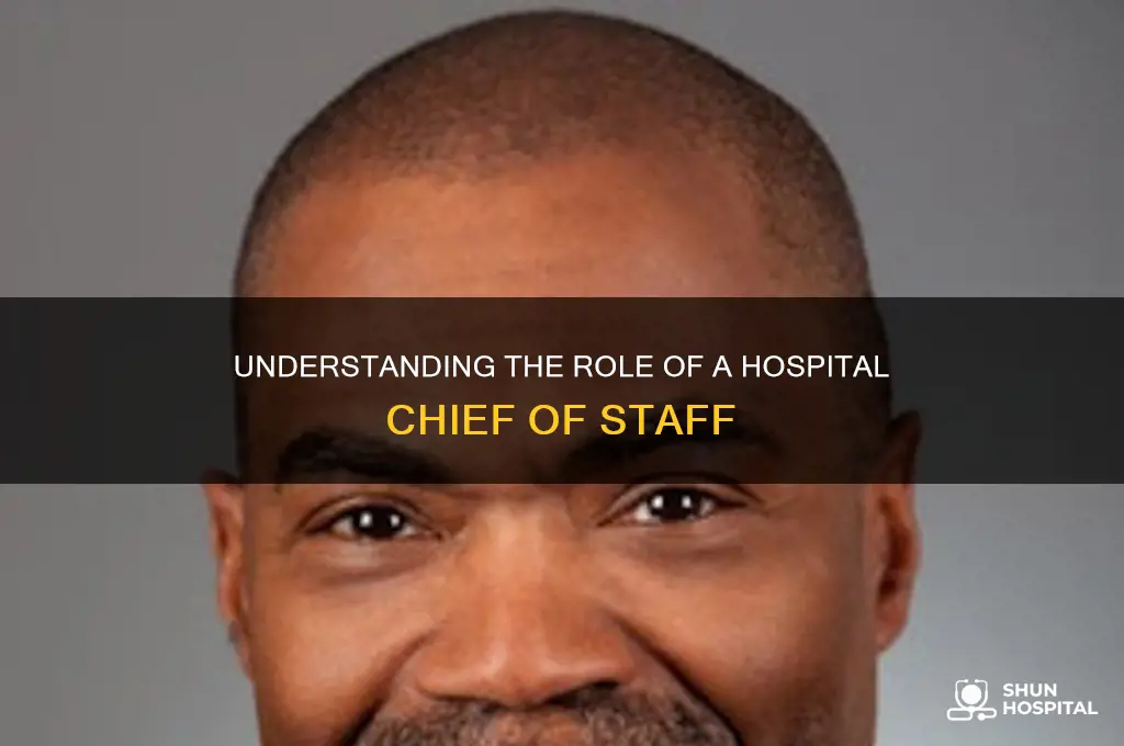 what is a chief of staff at a hospital