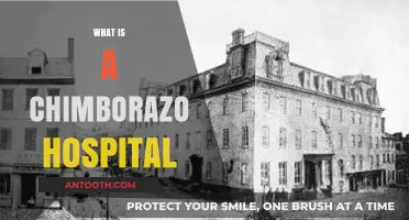 Exploring the Unique Healthcare Facility: Chimborazo Hospital