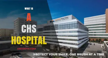 Understanding CHS Hospitals: A Comprehensive Guide to Catholic Health Services