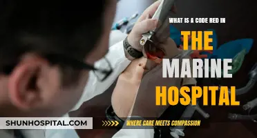 Understanding Code Red: Emergency Protocols in Marine Hospitals Explained
