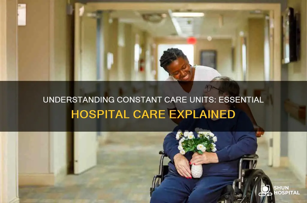 what is a constant care unit in a hospital