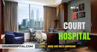 Understanding Court Hospitals: A Comprehensive Guide