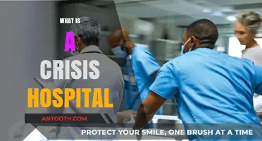 Understanding Crisis Hospitals: A Lifeline in Critical Times