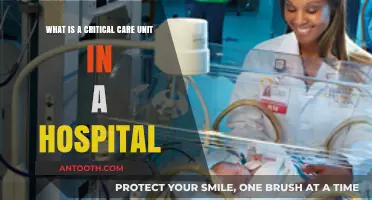 Understanding Critical Care Units: Essential Hospital Services Explained
