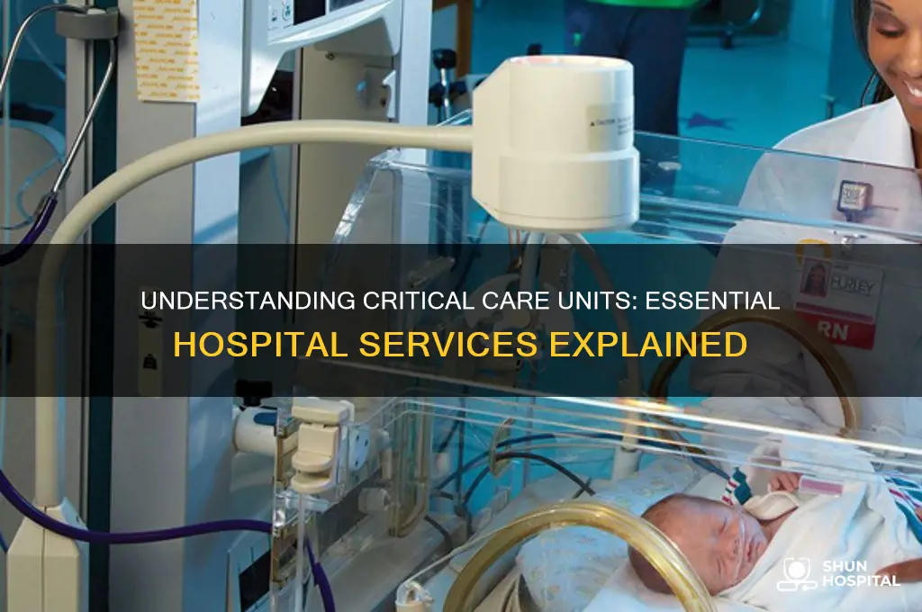 what is a critical care unit in a hospital