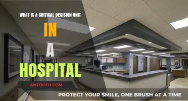 Understanding the Critical Decision Unit: A Hospital's Lifeline Explained
