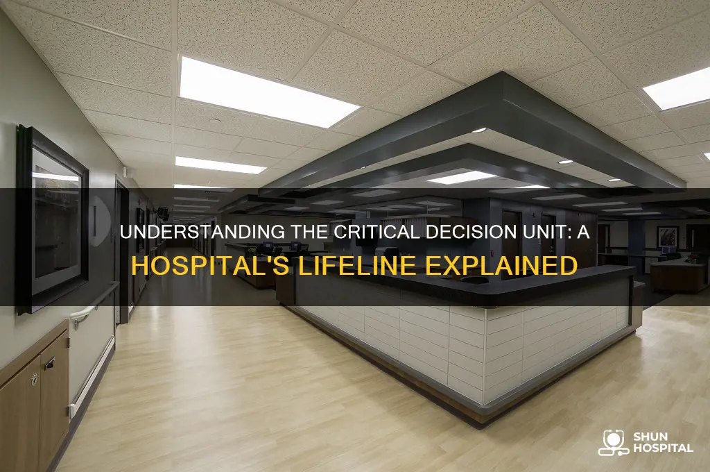 what is a critical decision unit in a hospital