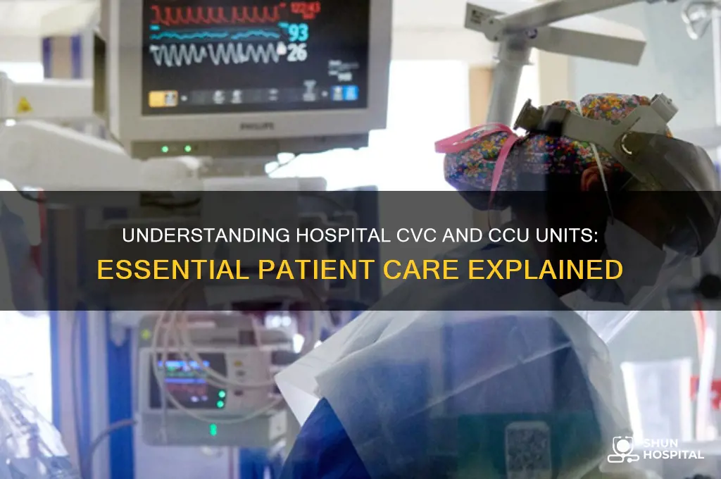 what is a cvc ccu unit at the hospital