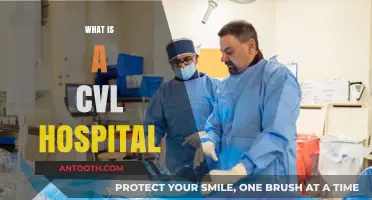 Understanding CVL Hospitals: A Comprehensive Guide to Compassionate Veterinary Care