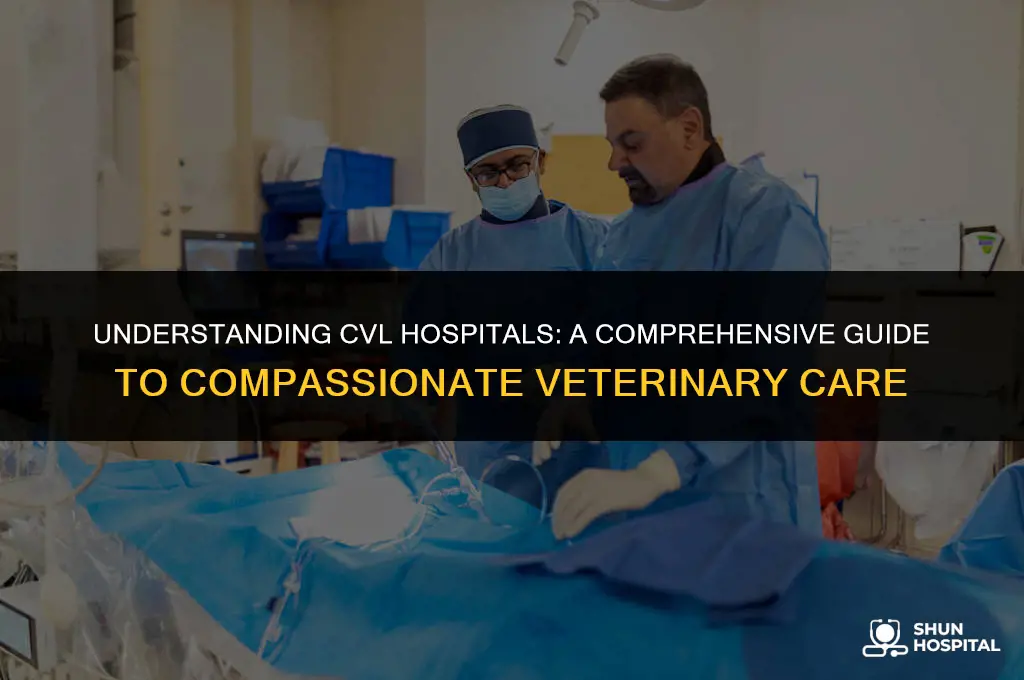 what is a cvl hospital