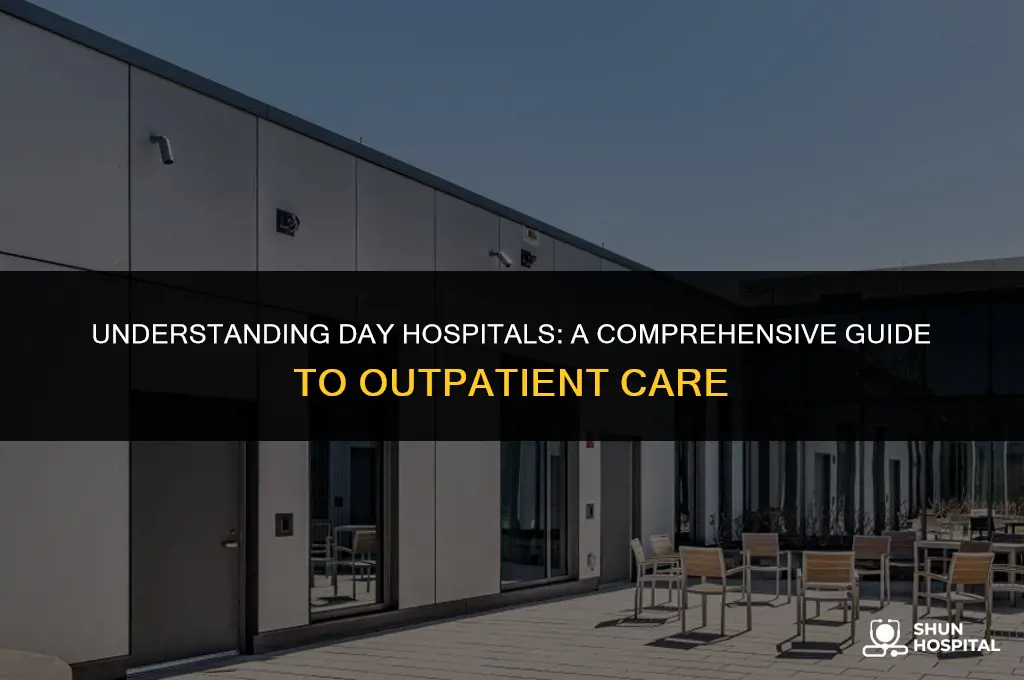 what is a day hospital