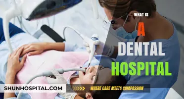 Exploring the Role and Services of a Modern Dental Hospital