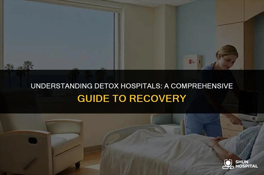 what is a detox hospital
