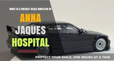 Understanding the Role of a Diecast Scale Director at Anna Jaques Hospital