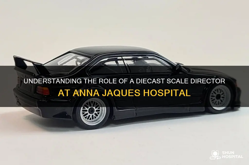 what is a diecast scale director of anna jaques hospital
