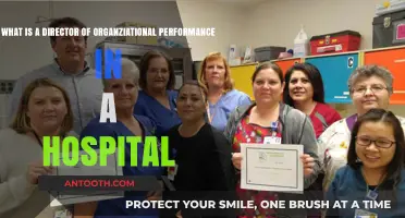 Understanding the Role of a Hospital's Director of Organizational Performance