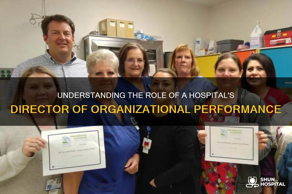 what is a director of organziational performance in a hospital