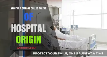 Understanding Nosocomial Infections: Diseases Originating in Hospitals Explained