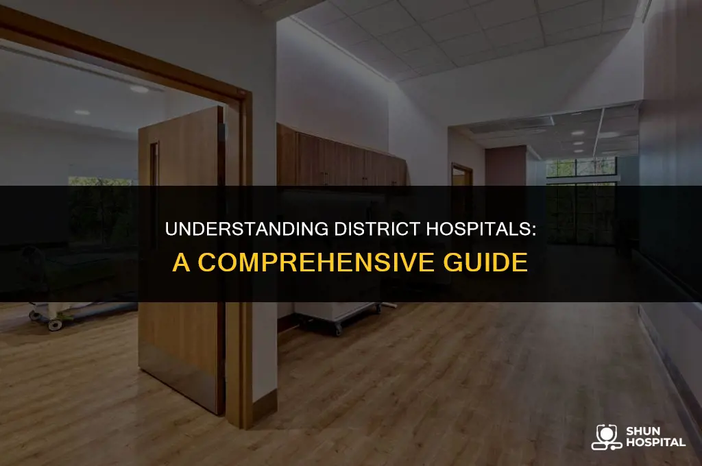 what is a district hospital