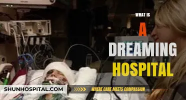 Exploring the Concept of a Dreaming Hospital: A Journey into Healing Visions