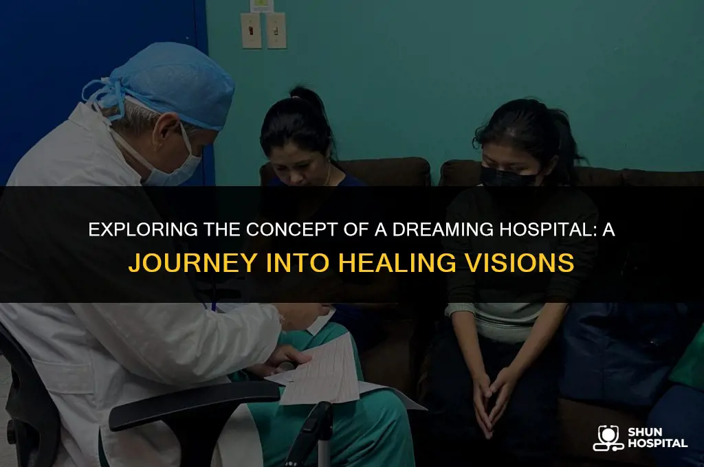 what is a dreaming hospital