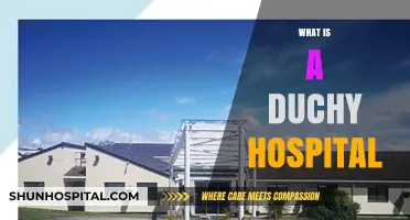 Exploring the Unique Role of Duchy Hospitals in Modern Healthcare