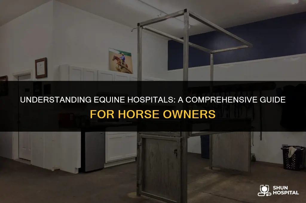 what is a equine hospital