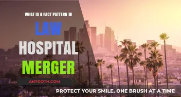 Understanding Fact Patterns in Hospital Merger Law: Key Insights