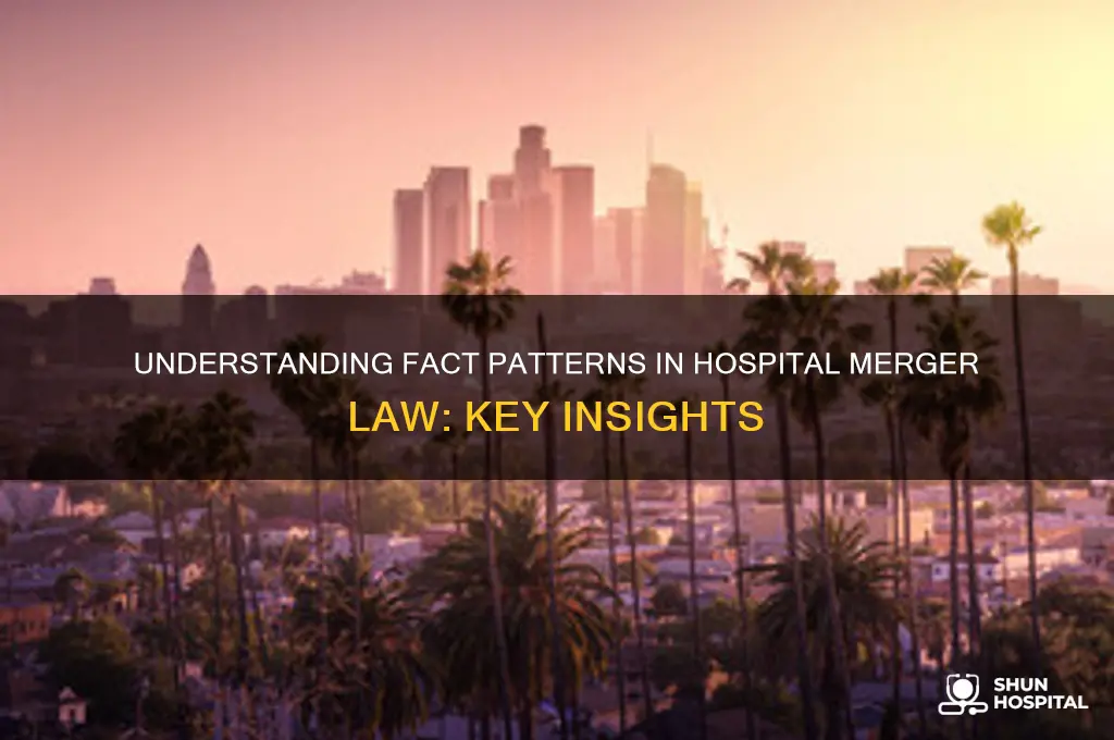 what is a fact pattern in law hospital merger