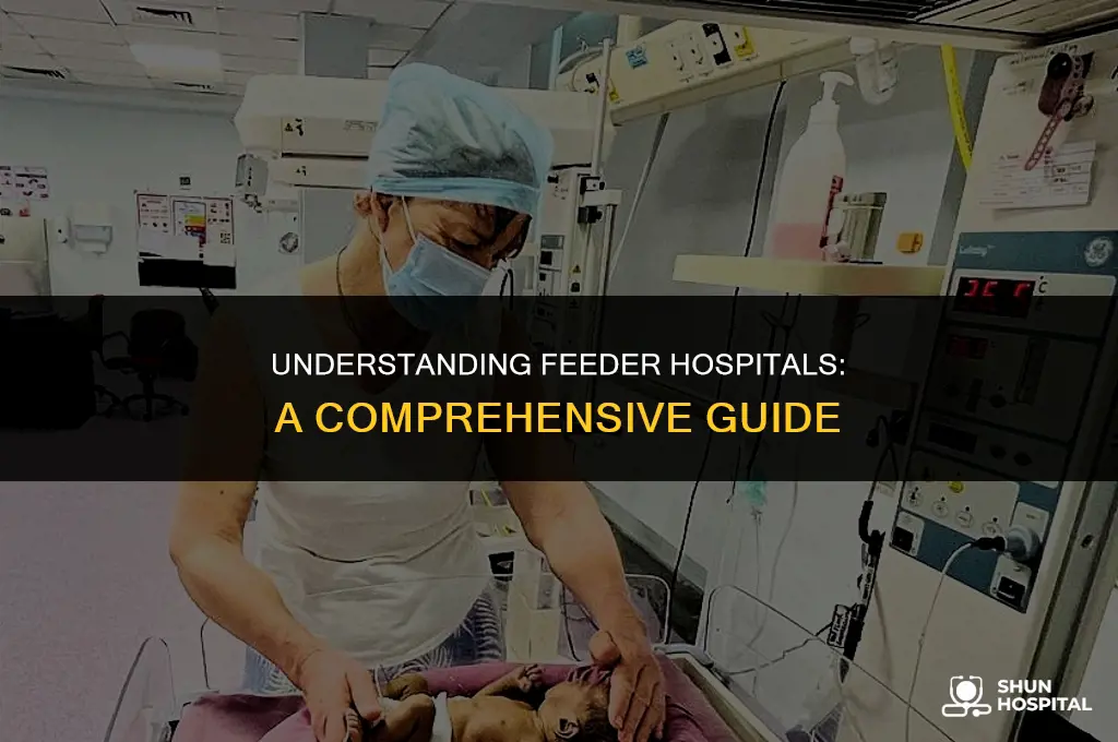 what is a feeder hospital