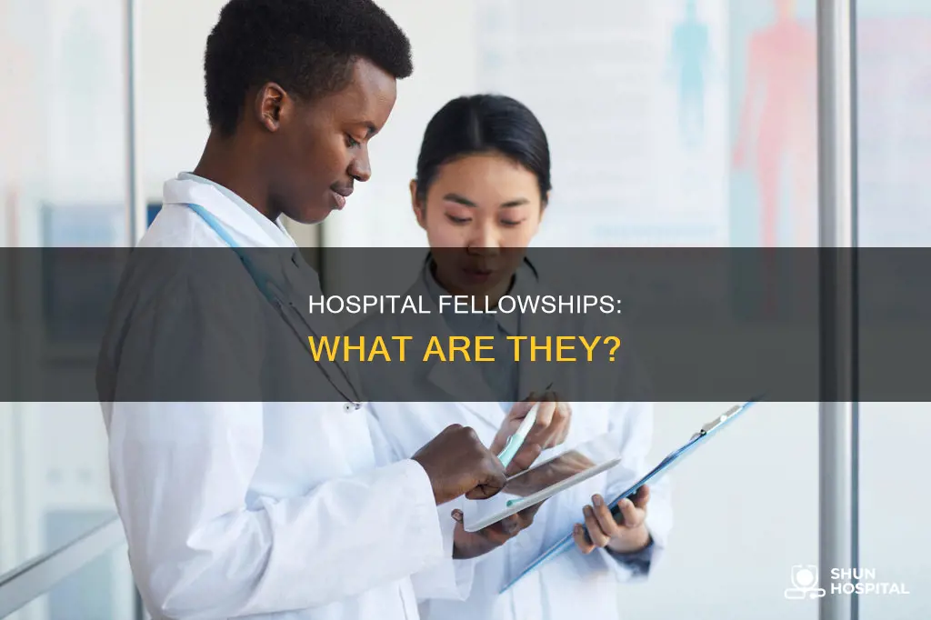 what is a fellow at a hospital