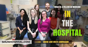 Understanding the Role of a Medical Fellow in Hospitals
