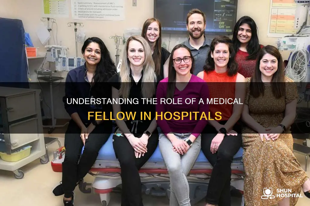 what is a fellow in medicine in the hospital