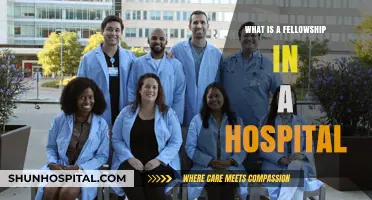 Fellowships: Hospital-Based Learning Opportunities for Doctors