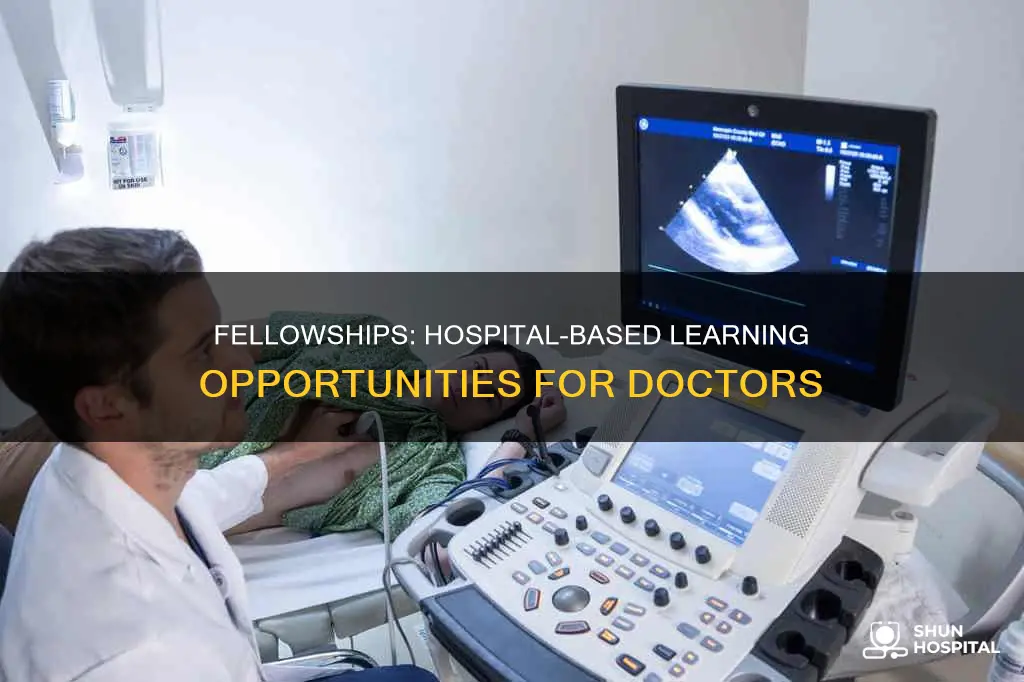 what is a fellowship in a hospital