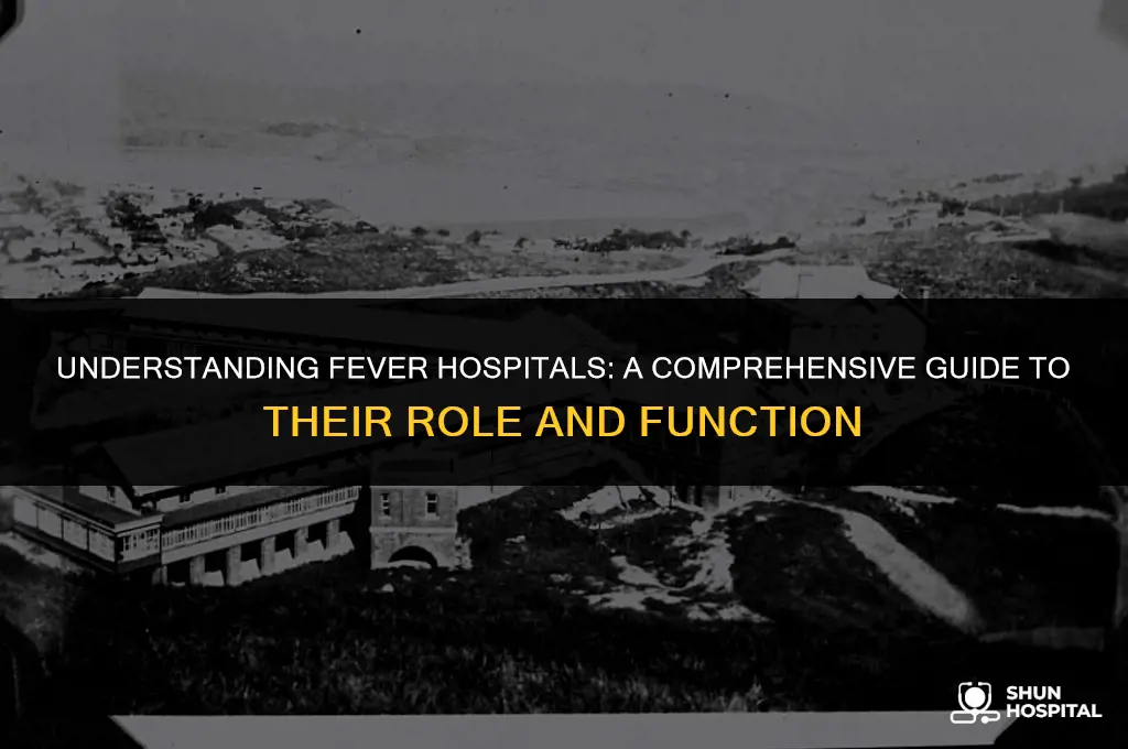 what is a fever hospital
