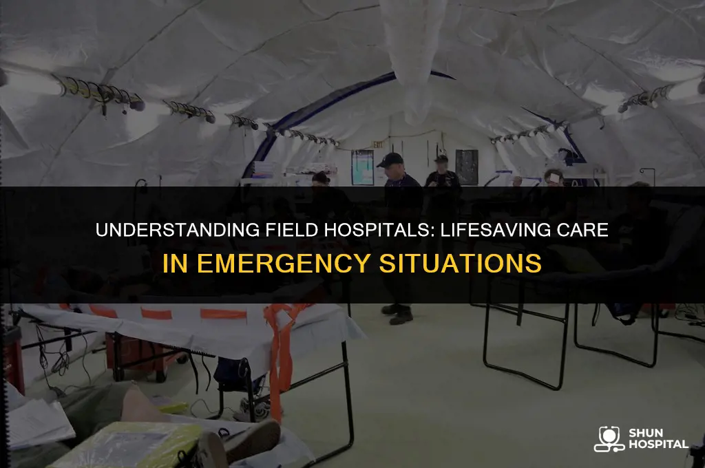 what is a field hospital