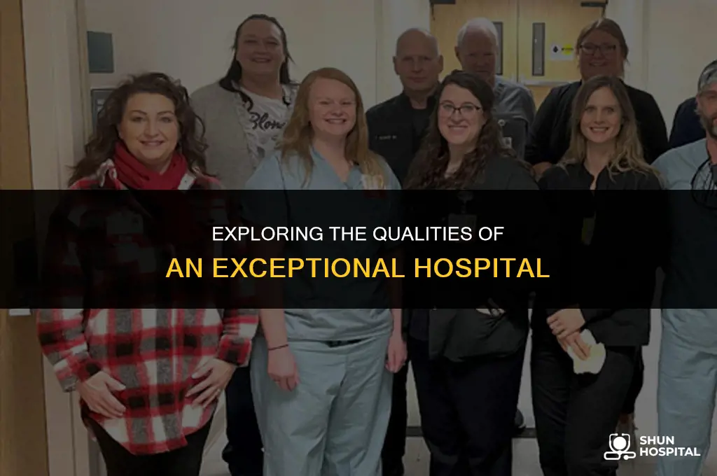 what is a fine hospital