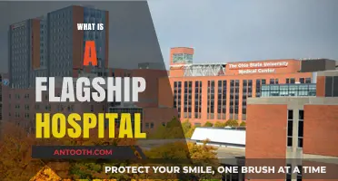 Understanding Flagship Hospitals: A Comprehensive Guide