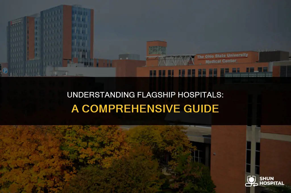 what is a flagship hospital