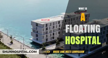 Healing Waters: The Innovative Concept of Floating Hospitals