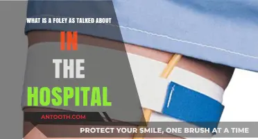 Understanding Foley Catheters: Hospital Use, Purpose, and Patient Care