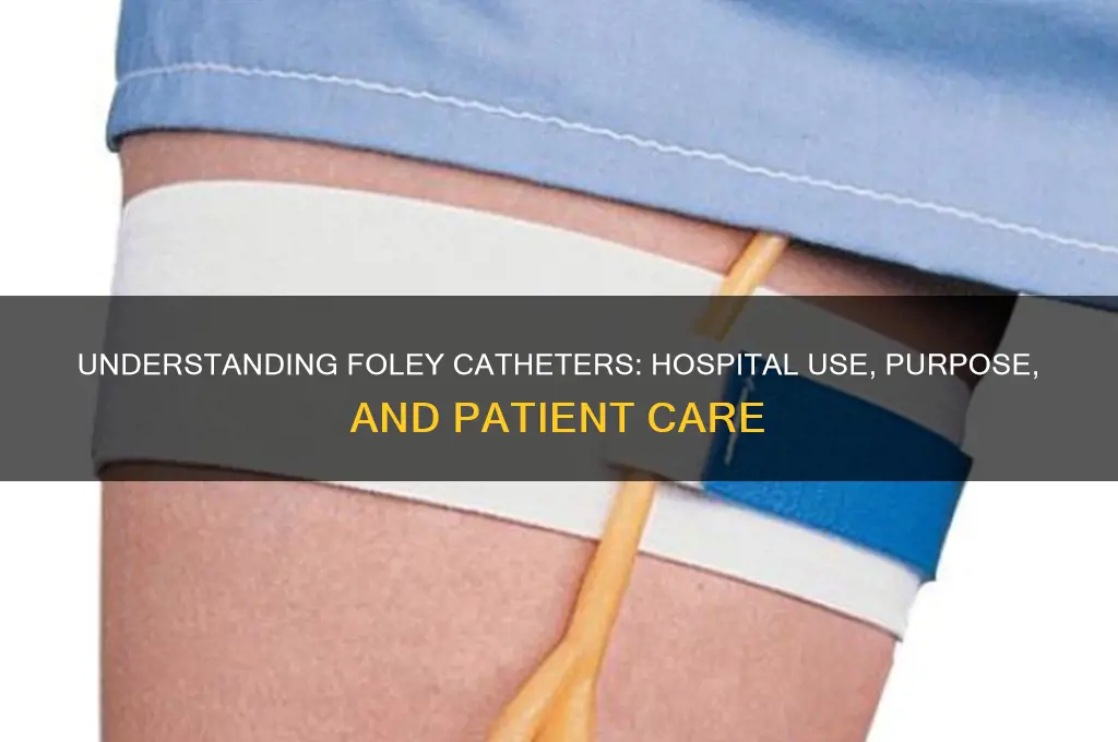 what is a foley as talked about in the hospital