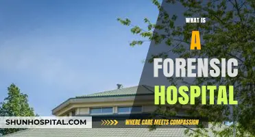 Understanding Forensic Hospitals: Purpose, Function, and Patient Care Explained